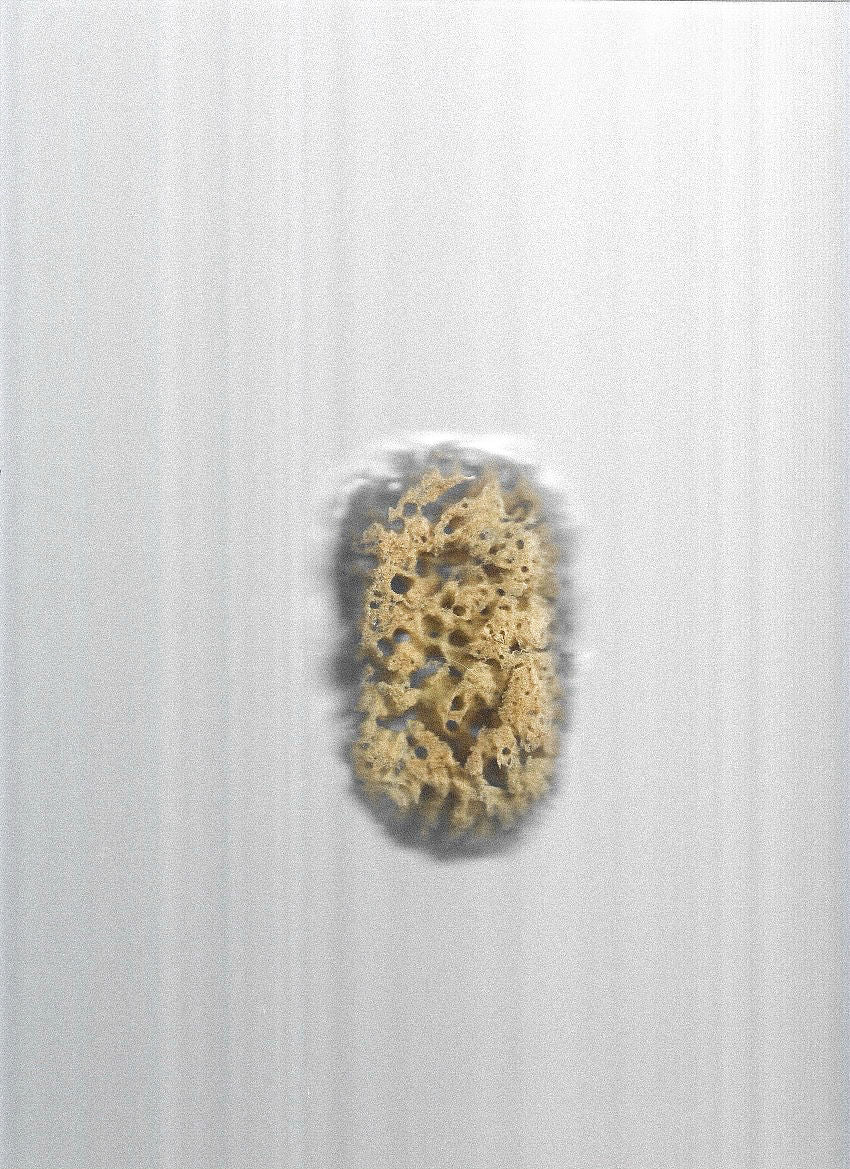 DEAD SEA SPONGE