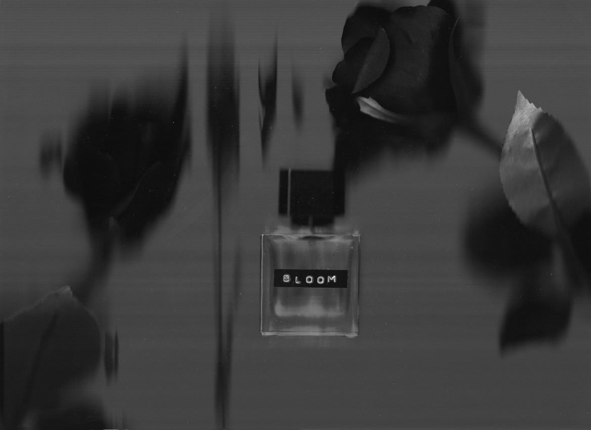 BLOOM
