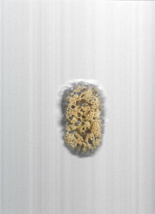 DEAD SEA SPONGE